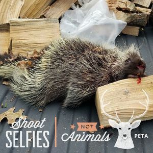 Meet your Posher, Richard